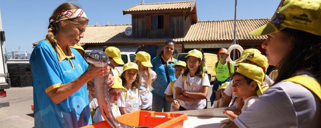 ferias 1117x446px