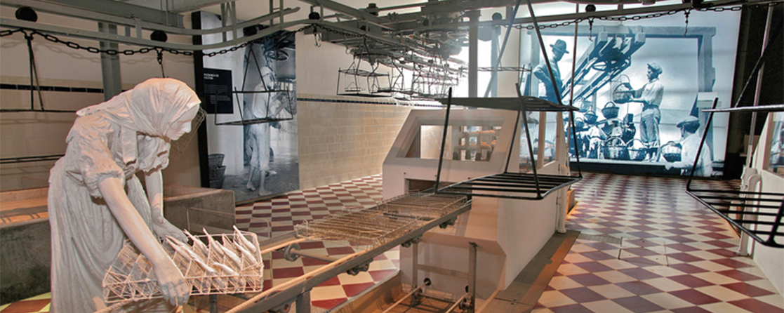 sala descabeco 1117x446px