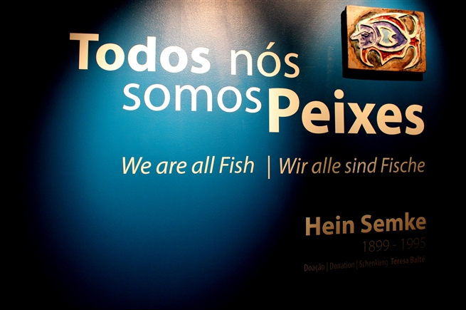 Todos Nos Somos Peixes 1