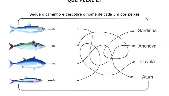 Que peixe é?