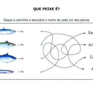 Que peixe é?
