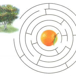 Como chegar à laranja