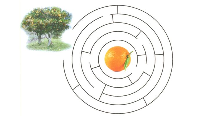 Como chegar à laranja