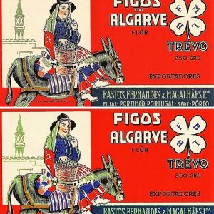 Figos do Algarve - 7 Diferenças
