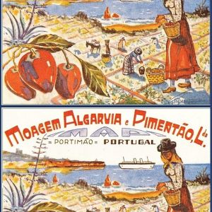 Moagem algarvia - 7 Diferenças