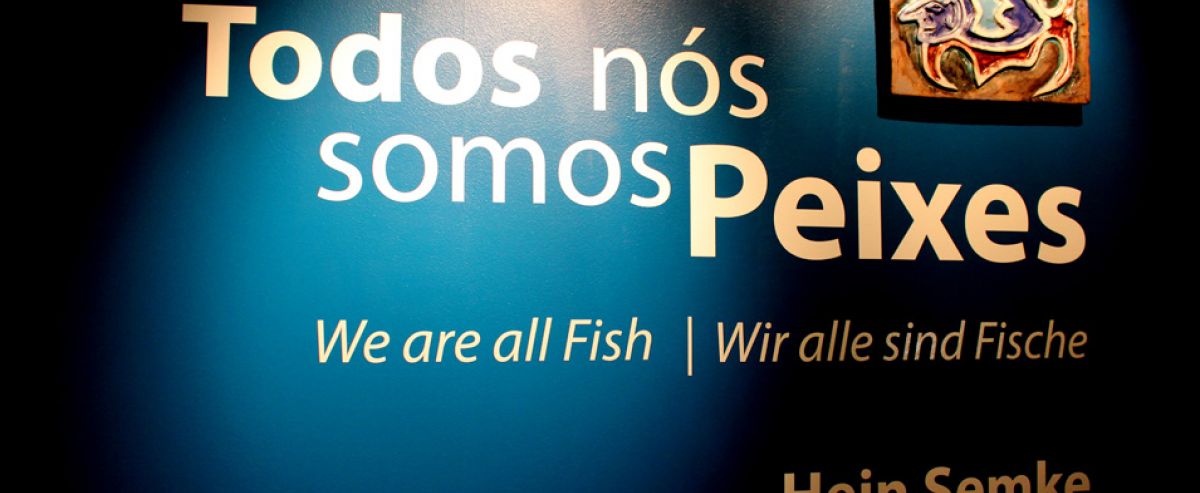 Todos nos somos peixes-1