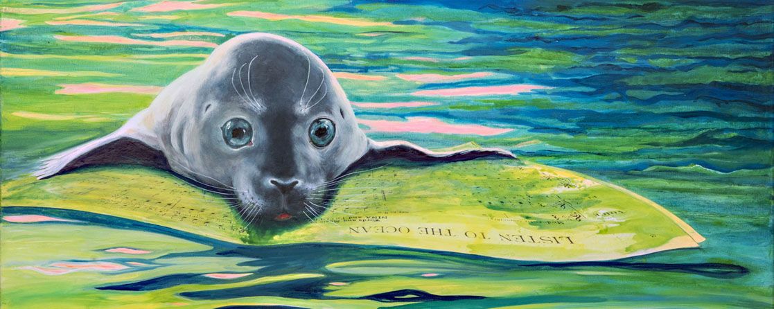 foca-monge-mediterraneo 1117x446px