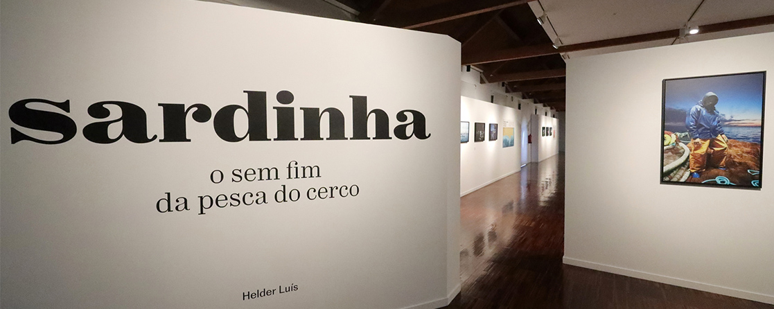 imagem 1 1117x446px