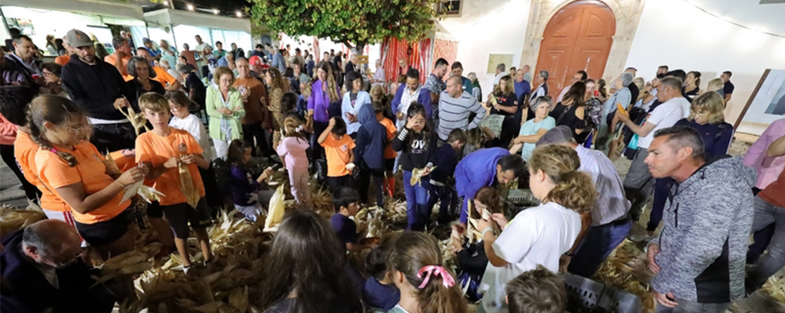 imagem 2 1117x446px