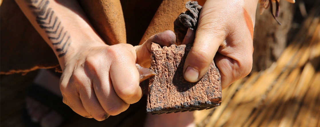 prehistoria 1117x446px 3