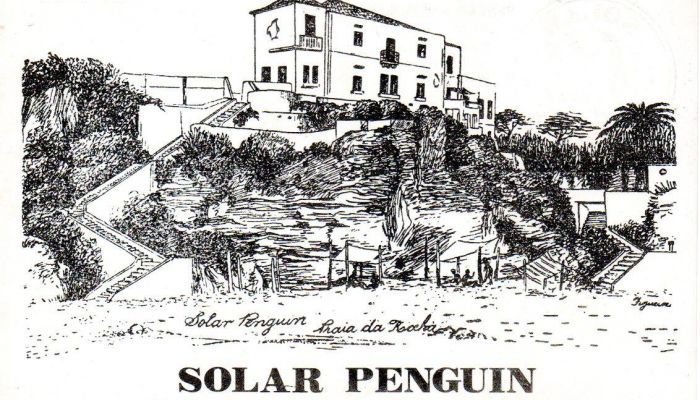 Solar Pinguim