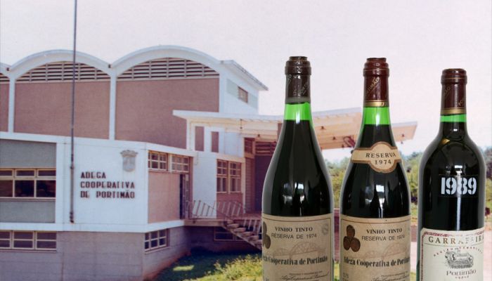 Garrafas de vinho | Cooperativa de Portimão
